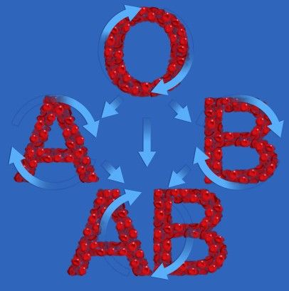 新生儿abo溶血能治愈吗,abo溶血能够提前干预吗