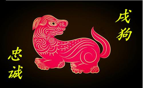 12生肖情感终极配对,12生肖婚姻最佳配对表大全