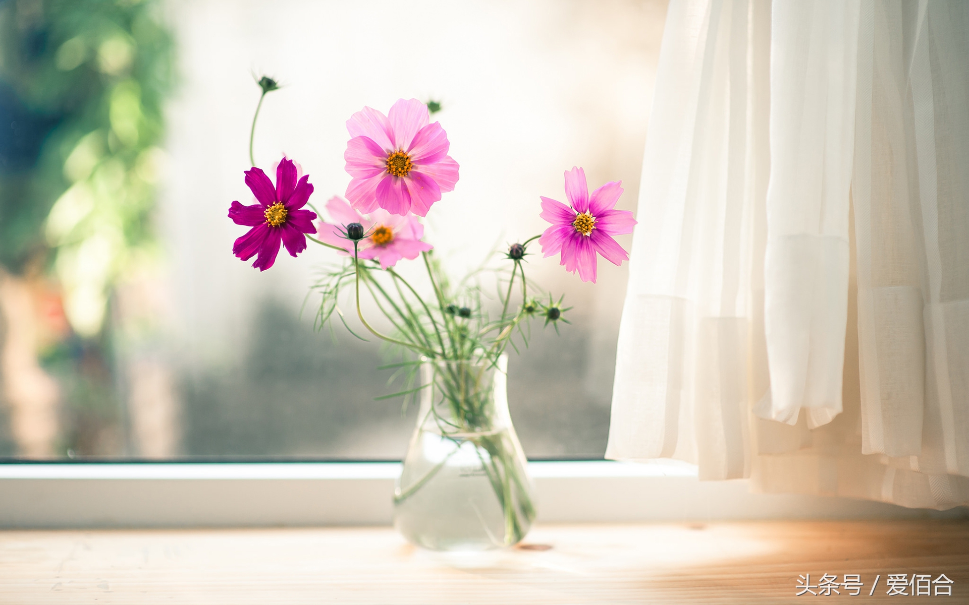 想做一个花店需要什么,学做花艺师有前途吗