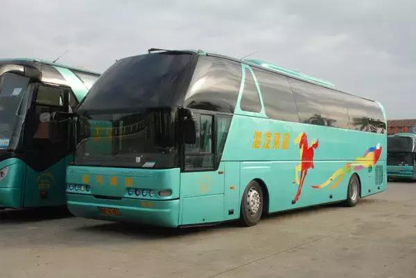 雷州人下月起，出门在外请带上这个证件，否则没办法上车！