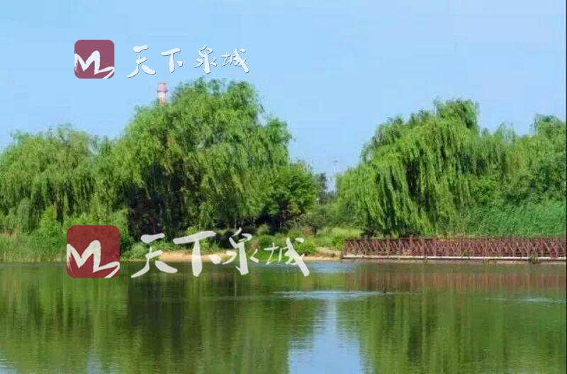 关于章丘山大龙山校区的最新消息,山大还搬不搬章丘