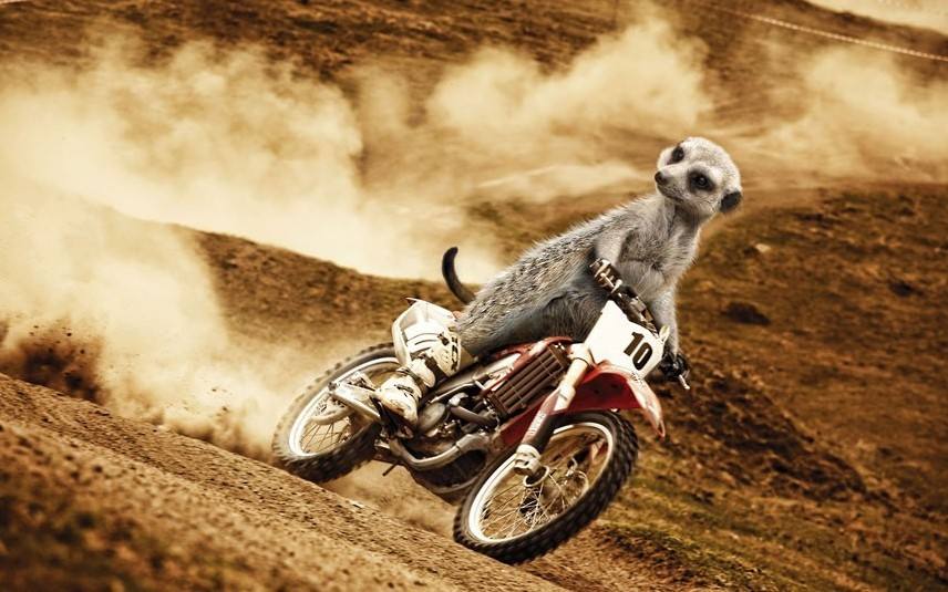 讲真：鱼油真的能够降血脂吗？