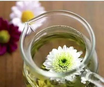 春季养肝茶喝起来简单,春季每个人都需要喝养肝茶吗