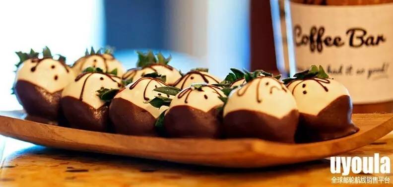 邮轮旅游攻略一览表,邮轮旅游哪个邮轮最好看又便宜