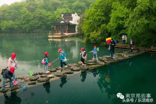 南京梅花赏花游记,好玩的摘草莓胜地打卡