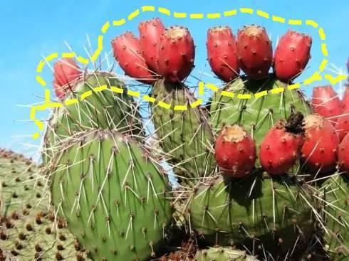 好端端的茶饮店偏要现做珍珠！结果试营业就排起了长队