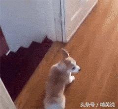 YOLO、FTW、TGIF，歪果仁爱用的缩写你都知道么？