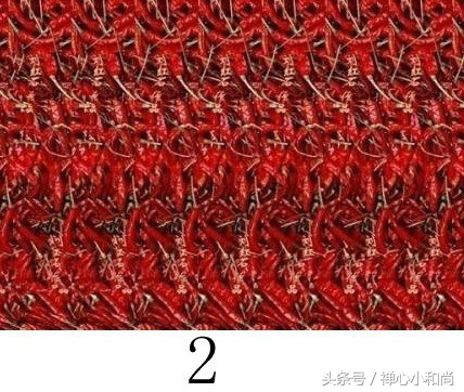 最强大脑小四道歉完全版,最强大脑小四和魏教授吵架