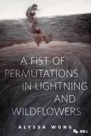 第十二届科幻星云奖名单,2016星云奖获奖奇幻小说