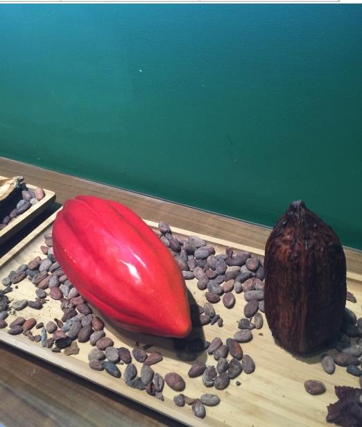 上海免费巧克力博物馆,上海巧克力馆简介