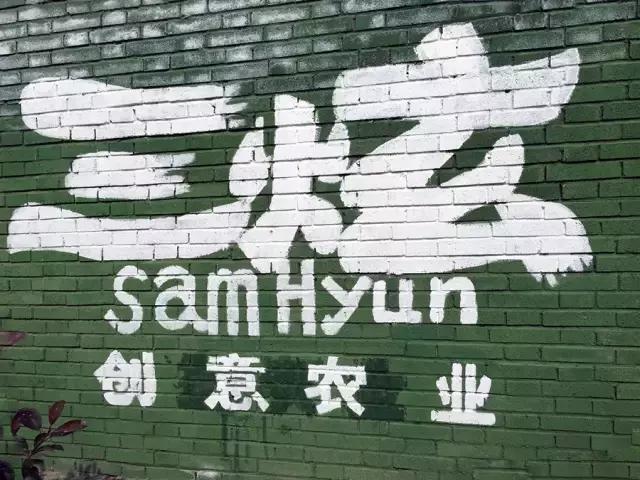 户县新西兰农场好玩吗,西安户县农场