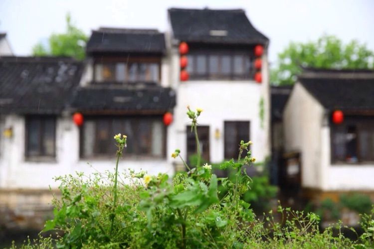 江南水弄堂，运河绝版地——无锡南长街