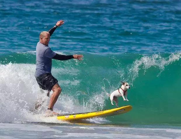澳洲旅游攻略必带物品清单,澳洲旅游攻略需要花费多少钱