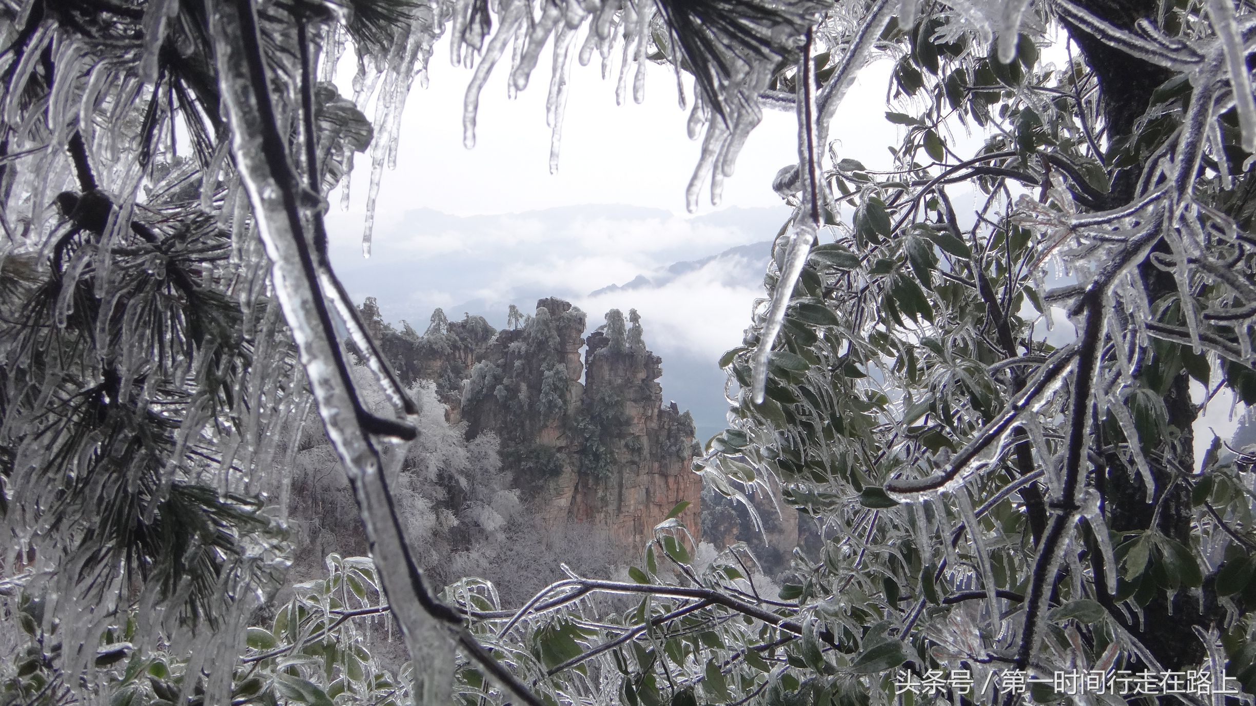 张家界浪漫之地,张家界最浪漫的婚纱