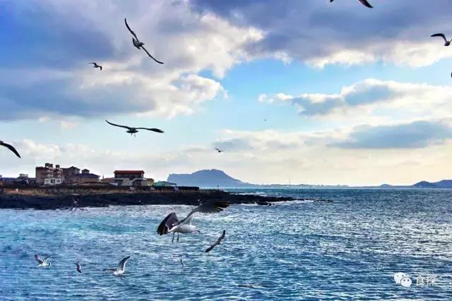 济州岛能够看海也能够吃,济州岛五天四夜逛吃之旅