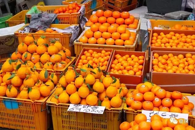 济州岛能够看海也能够吃,济州岛五天四夜逛吃之旅