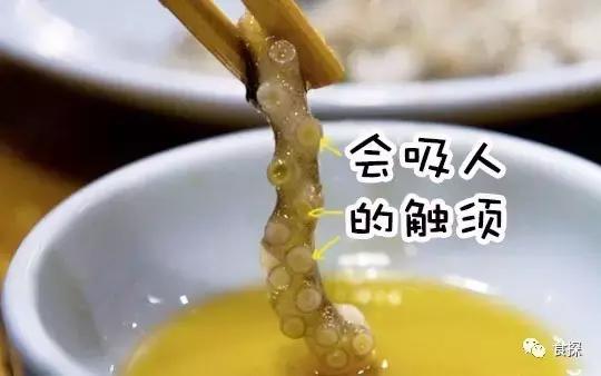 济州岛能够看海也能够吃,济州岛五天四夜逛吃之旅