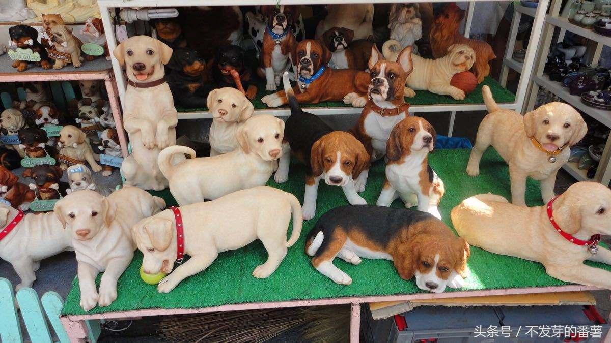 泰国最大的农产品批发市场,泰国最大的小市场