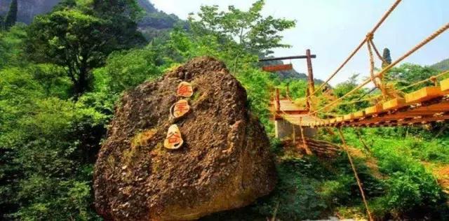 城南客运站旅游直通车,西安城南旅游班线