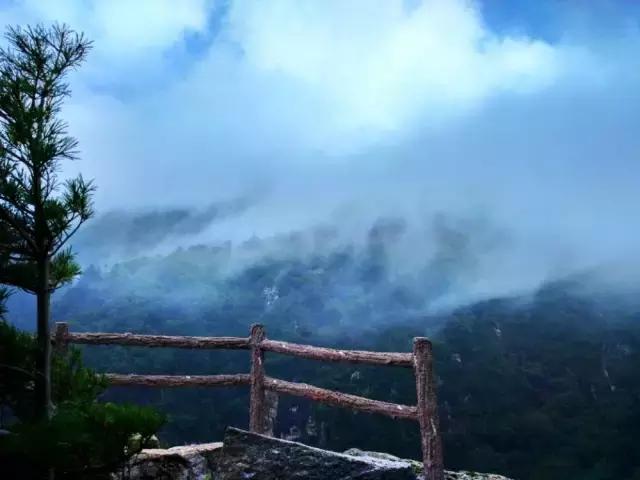 城南客运站旅游直通车,西安城南旅游班线