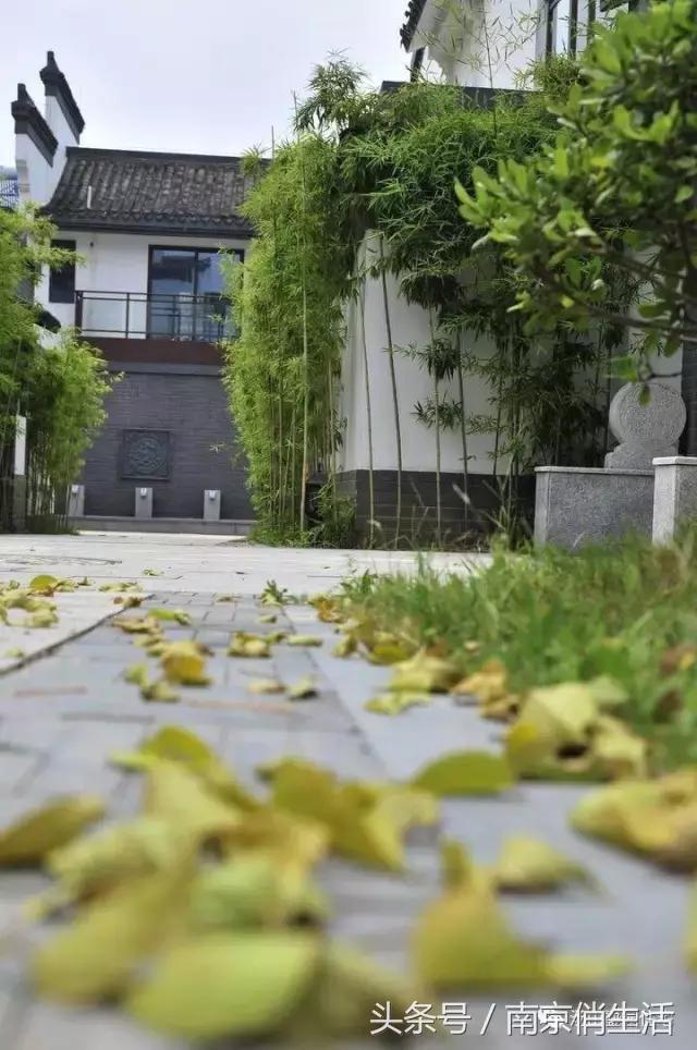 当爱情遇见彩礼你会怎么做,爱情和房子如何抉择