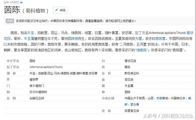 二月茵陈四月蒿包括艾蒿吗,茵陈蒿和青蒿图片