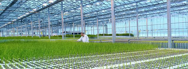 egf的护肤功能,egf成分的护肤品