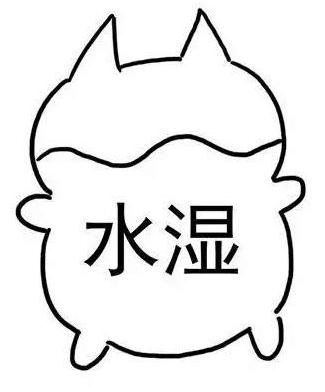 湿气重的喝什么茶护肝护肾,什么茶能护肝祛湿热