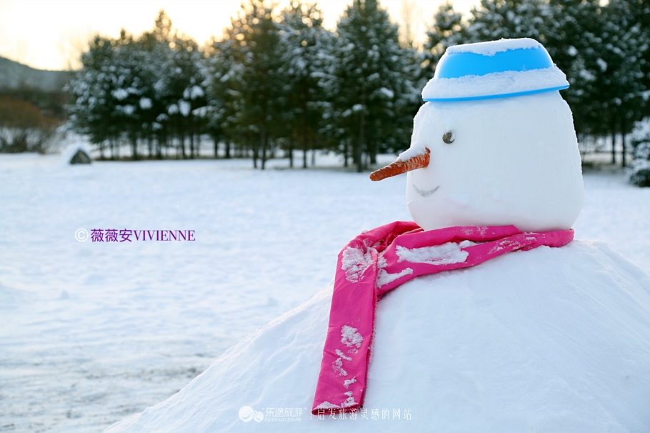 榆林到漠河北极村旅游,漠河北极村的标志石碑
