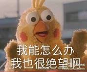 能完成80%种妆容的新手眼影盘推荐,合适新手的眼影盘一盘多用