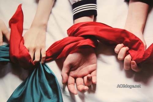 2024年百合展,百合展2019年