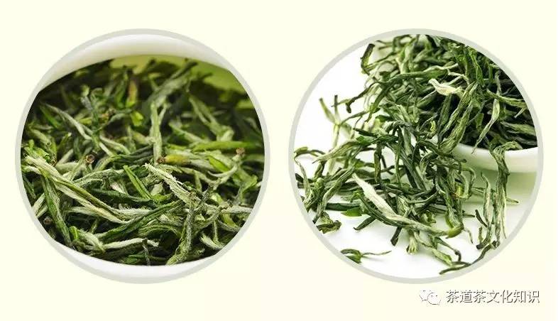 率土之滨庐山云雾茶,庐山云雾茶功效功能