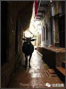 印度看病大师,印度医生看病视频