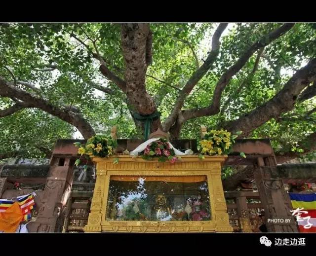 印度看病大师,印度医生看病视频