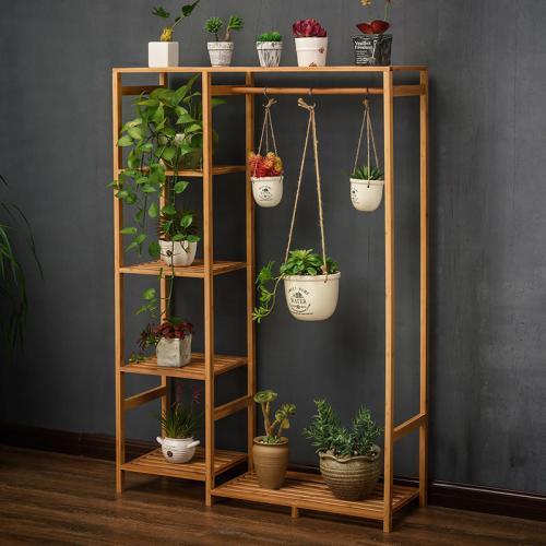 合适放大花的花架有哪些,花架用什么花比较好