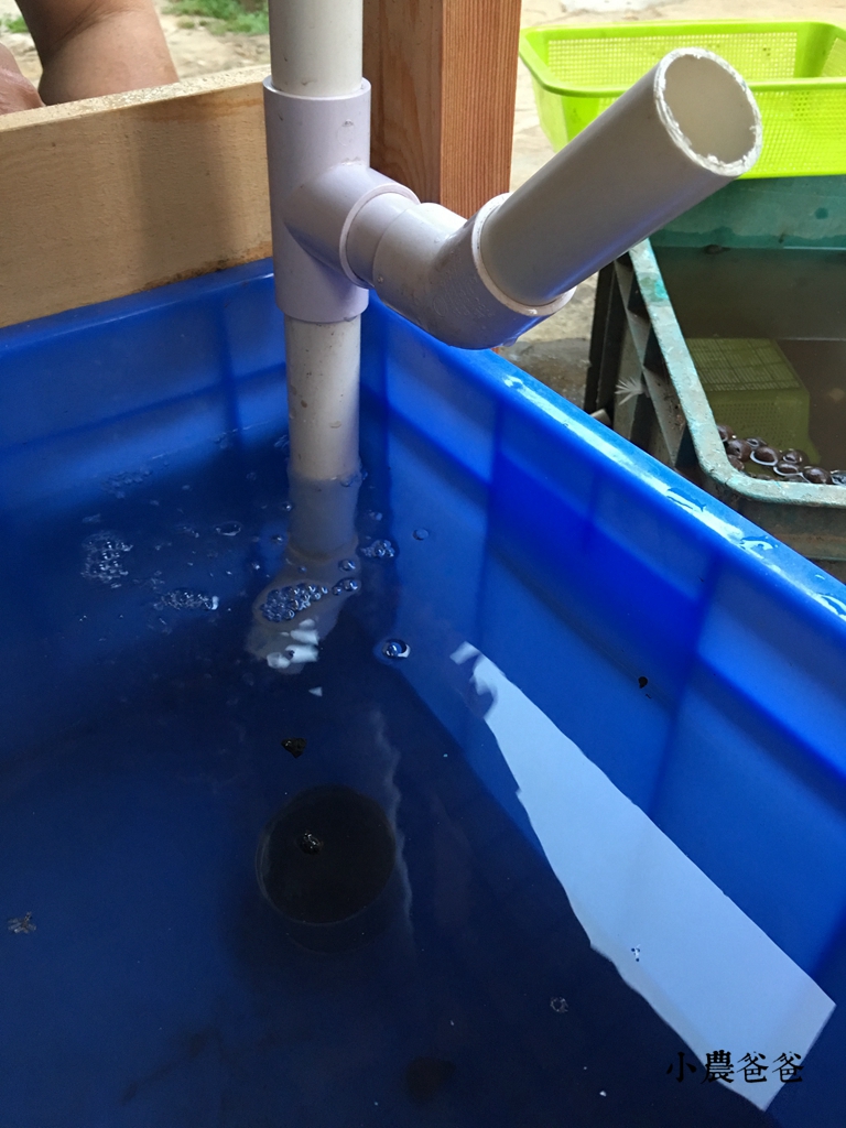 专业鱼菜共生系统设计,自制鱼菜共生系统设计