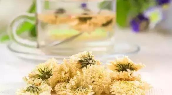 刘虎岐：想种植中草药来赚钱？这些知识点你得先了解！