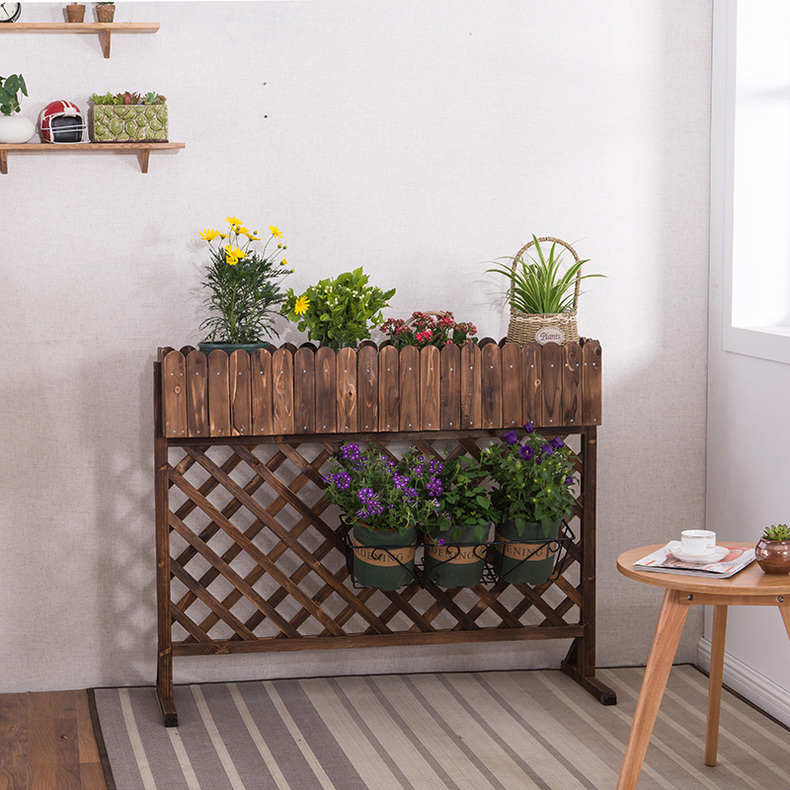 合适放大花的花架有哪些,花架用什么花比较好