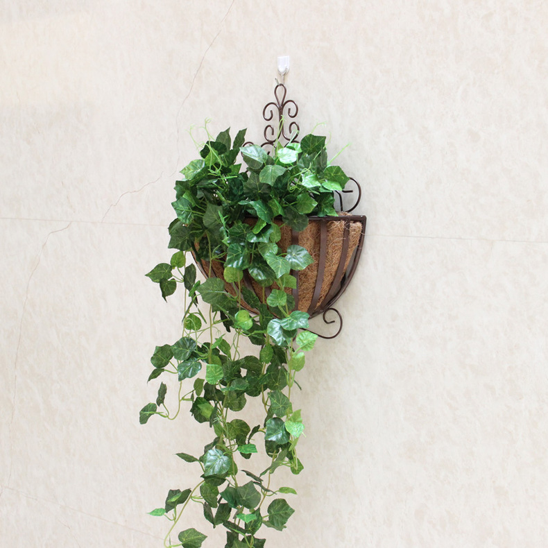 合适放大花的花架有哪些,花架用什么花比较好