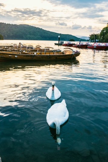 去旅游时拍人物照技巧,去旅游拍小视频
