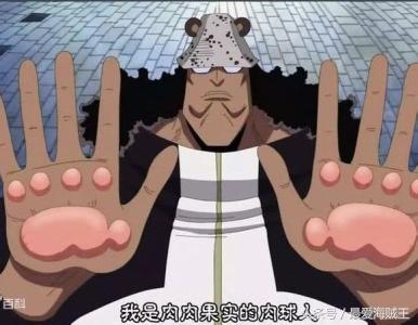 最合适用来送快递的五颗恶魔果实，最后一个直接让快递公司歇菜