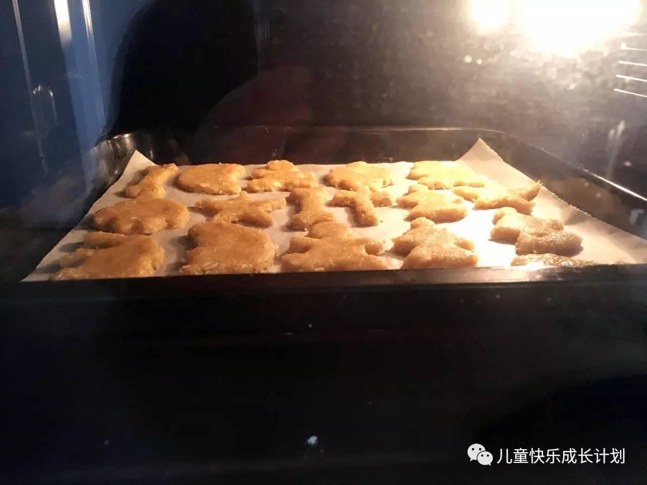 粗粮燕麦饼干,营养燕麦饼干是用哪种燕麦做的