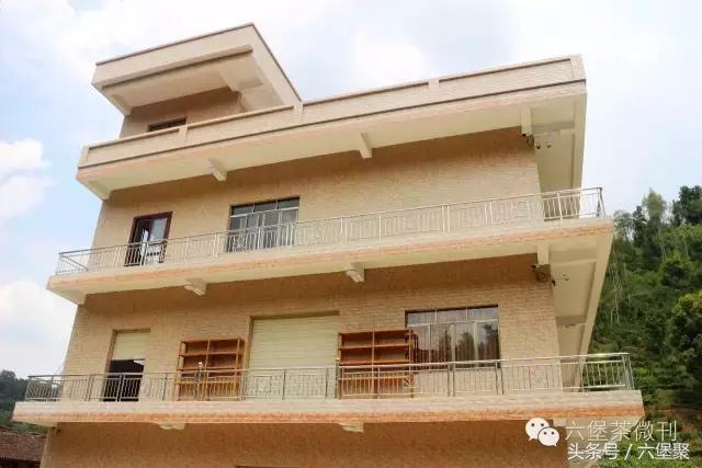 六堡茶黎宝林,茶江湖茶业旗舰店