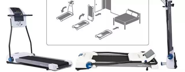 你胖并不是因为懒,你的胖是因为懒吗