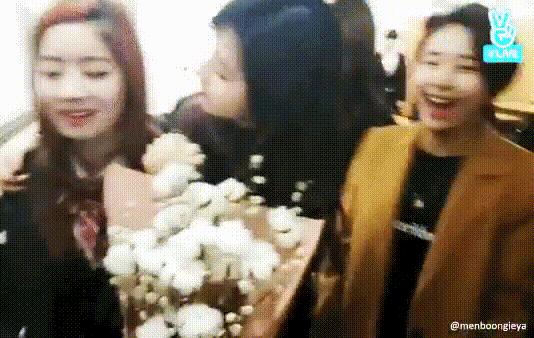 sana亲吻表情包,sana和twice合照