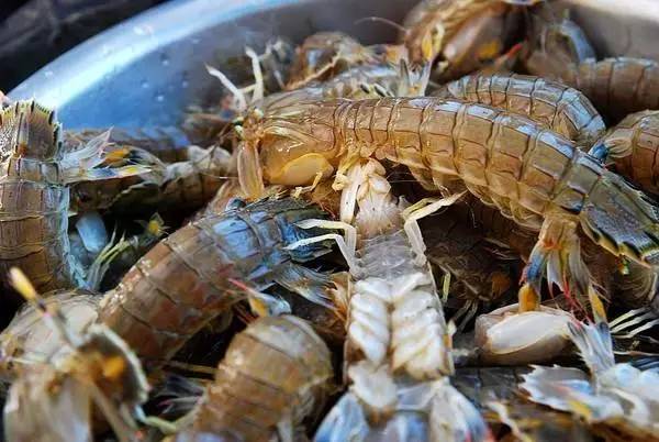 好吃的皮皮虾网红,椒盐皮皮虾人气