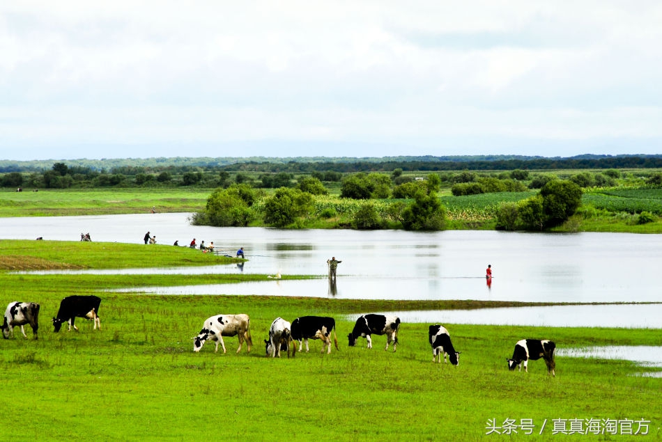 怎样给宝宝选择一罐安全的奶粉,如何选择一款合适宝宝的奶粉