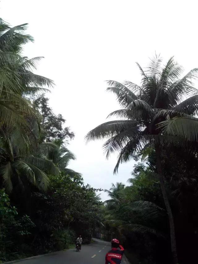 海南环岛自由行攻略最详细,海南环岛骑车多少公里