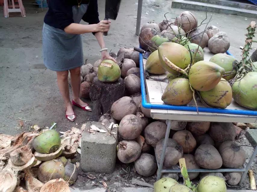 海南环岛自由行攻略最详细,海南环岛骑车多少公里