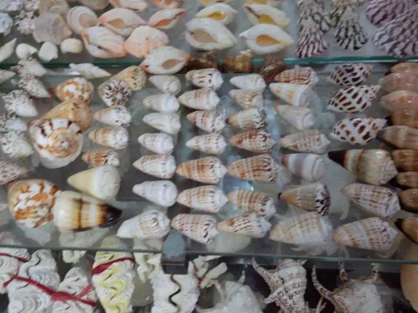 海南环岛自由行攻略最详细,海南环岛骑车多少公里